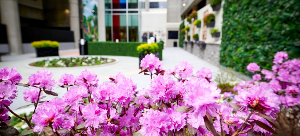 artificial flowers
