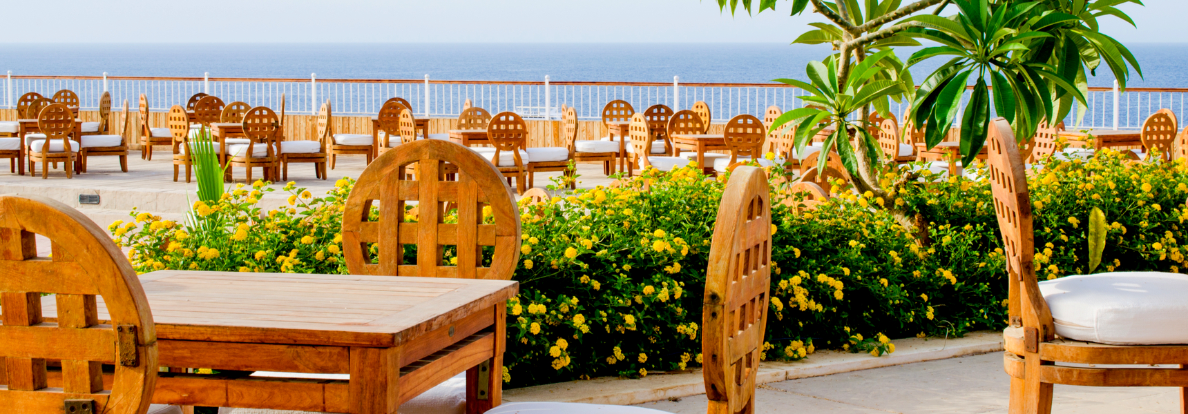 5 Artificial Plant Categories For Open Cafes