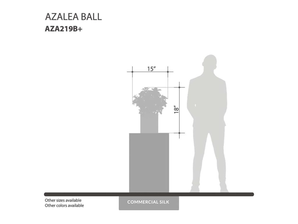 Potted Azalea Plant ID# AZA118B+