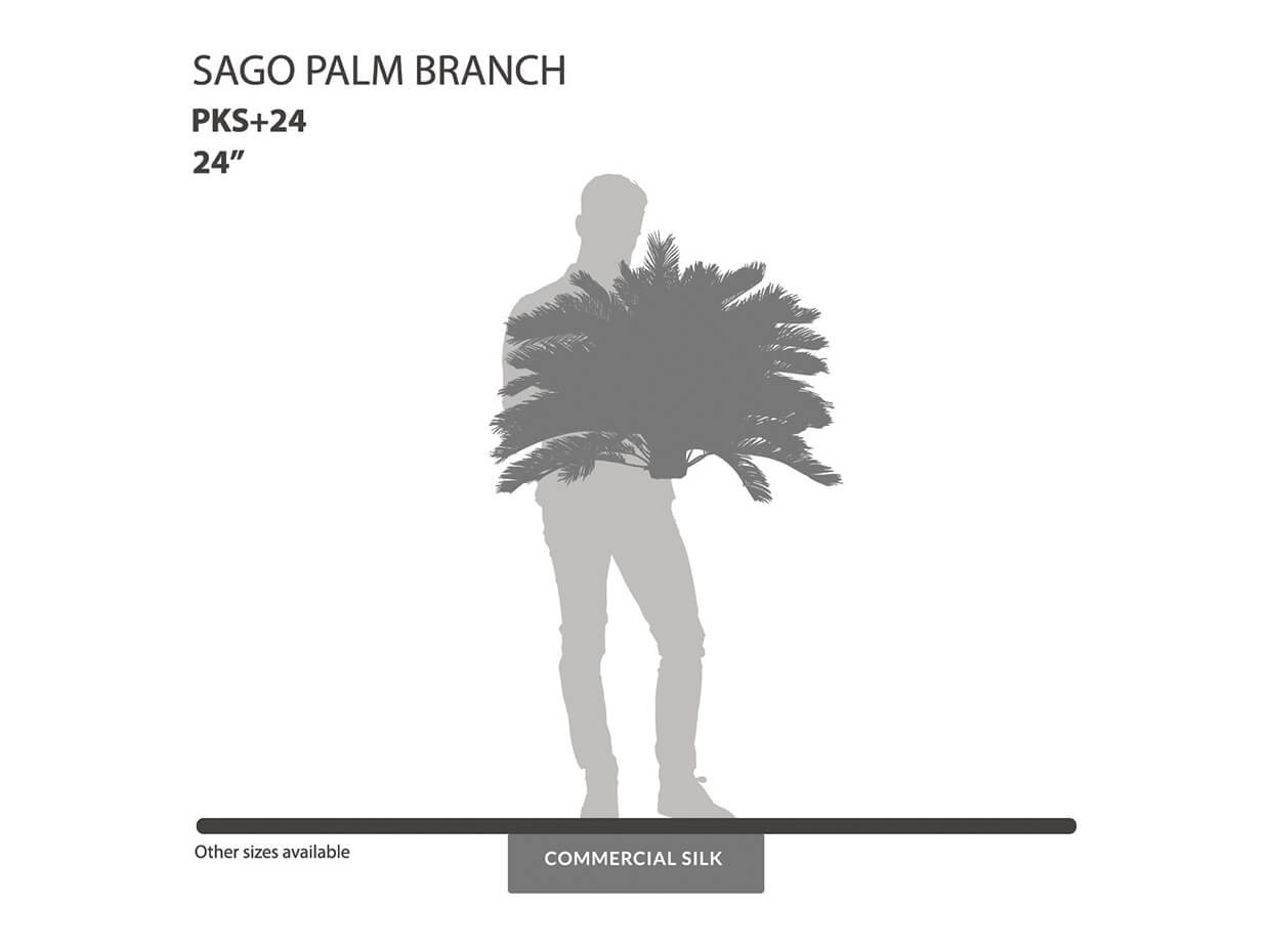 Sago King Palm Branch ID# PKS+24