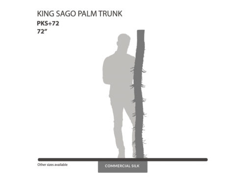 King Sago Palm Trunk
