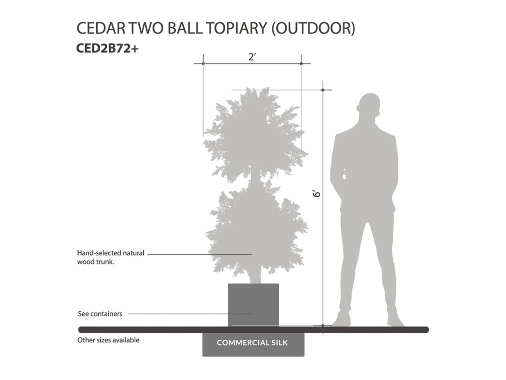 Cedar Double Topiary ID# CED2B72+