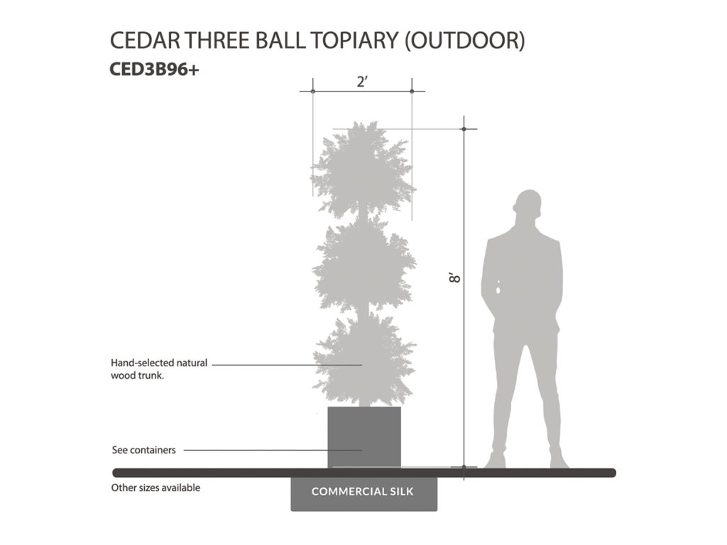  Cedar Triple Topiary ID# CED3B96+