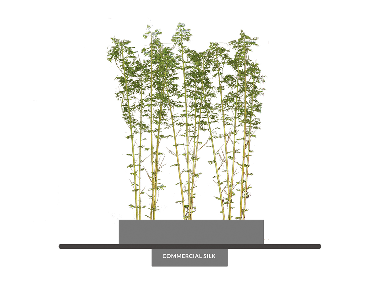 Fake Oriental Bamboo Tree Grove Tree