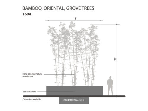 Oriental Bamboo Grove, 21' ID# 1694