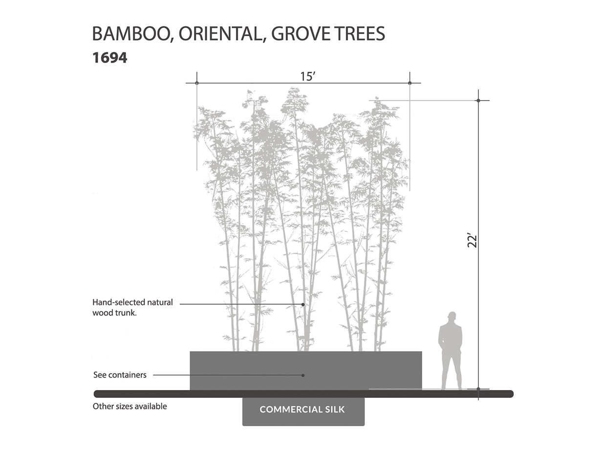 Oriental Bamboo Grove, 21' ID# 1694