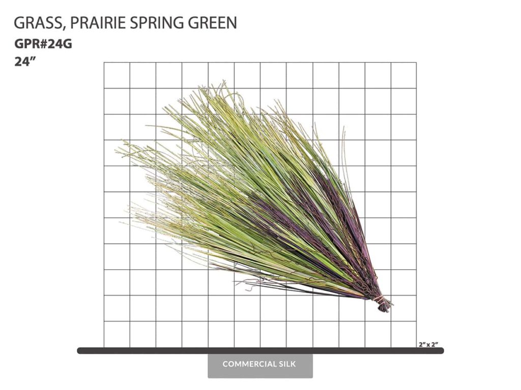 Prairie Grass Bush, Green ID# GPR#24G