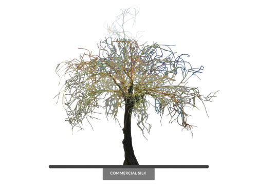 Spooky Leafless Tree ID# CUSTLLT96