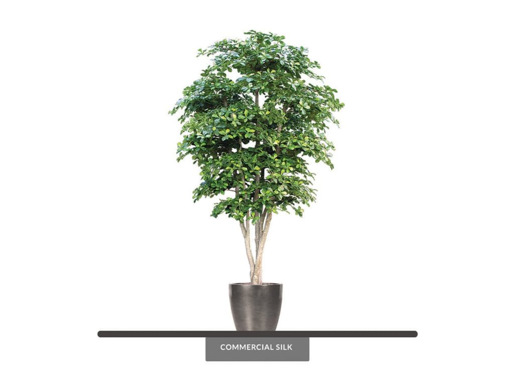 Faux Black Olive Tree