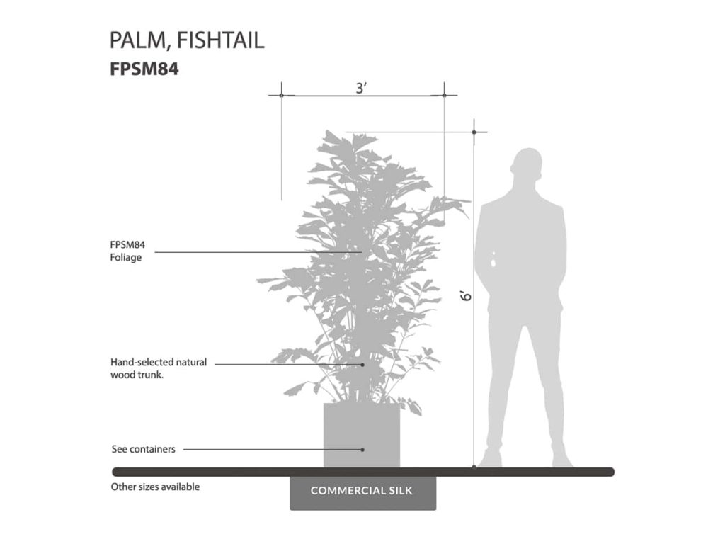Fishtail Palm Tree ID# FPSM84