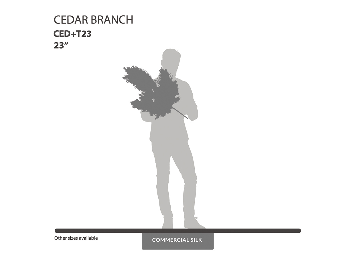 Cedar Branch ID# CED+T23