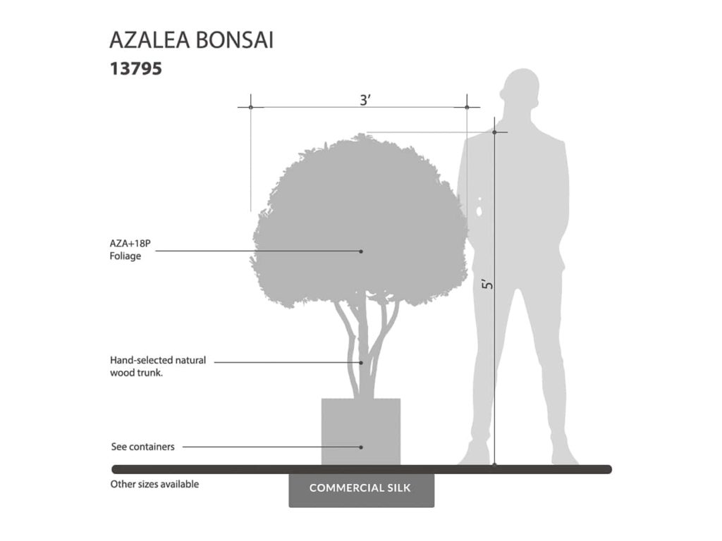 Azalea Bonsai Tree, Flowering ID# 13795