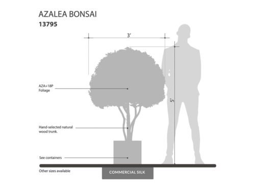 Azalea Bonsai Tree, Flowering ID# 13795