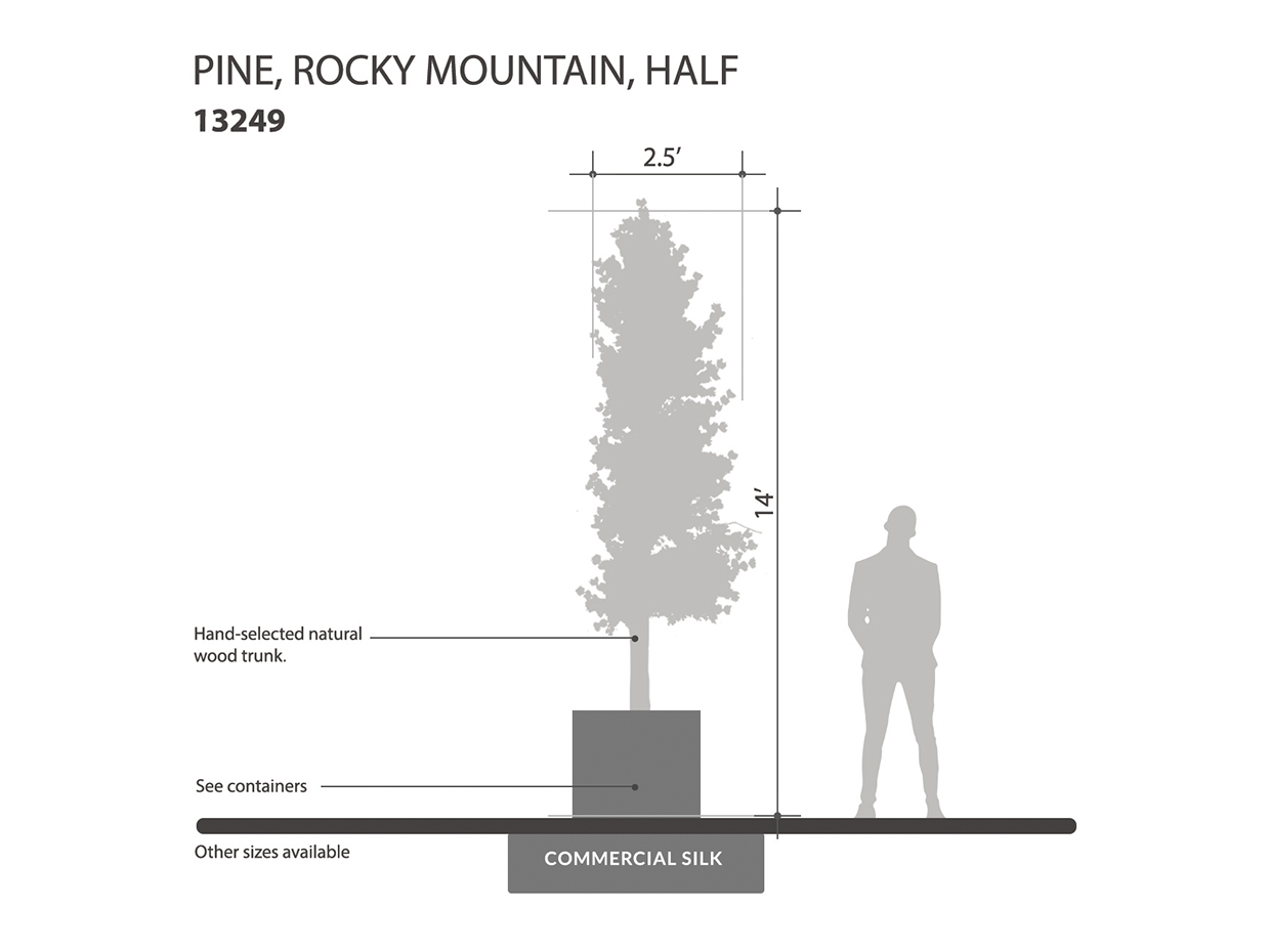 Rocky Mountain Pine Tree, Half Tree ID# 13249