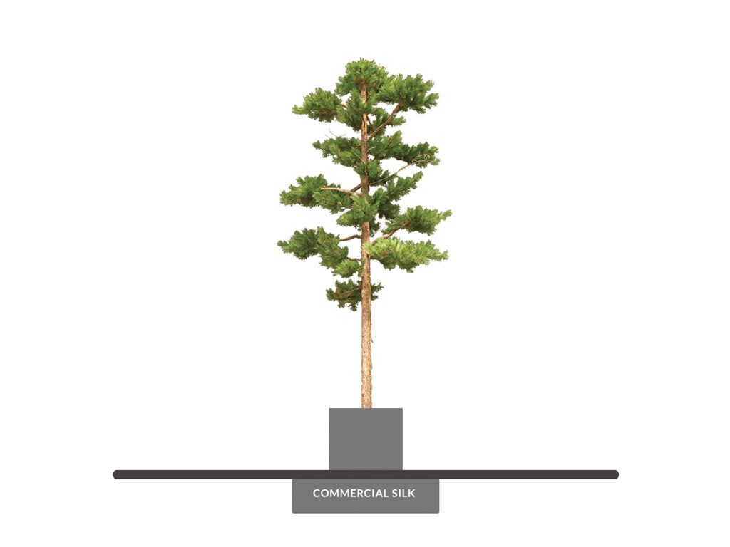 Artificial Scotch Pine Bonsai Tree