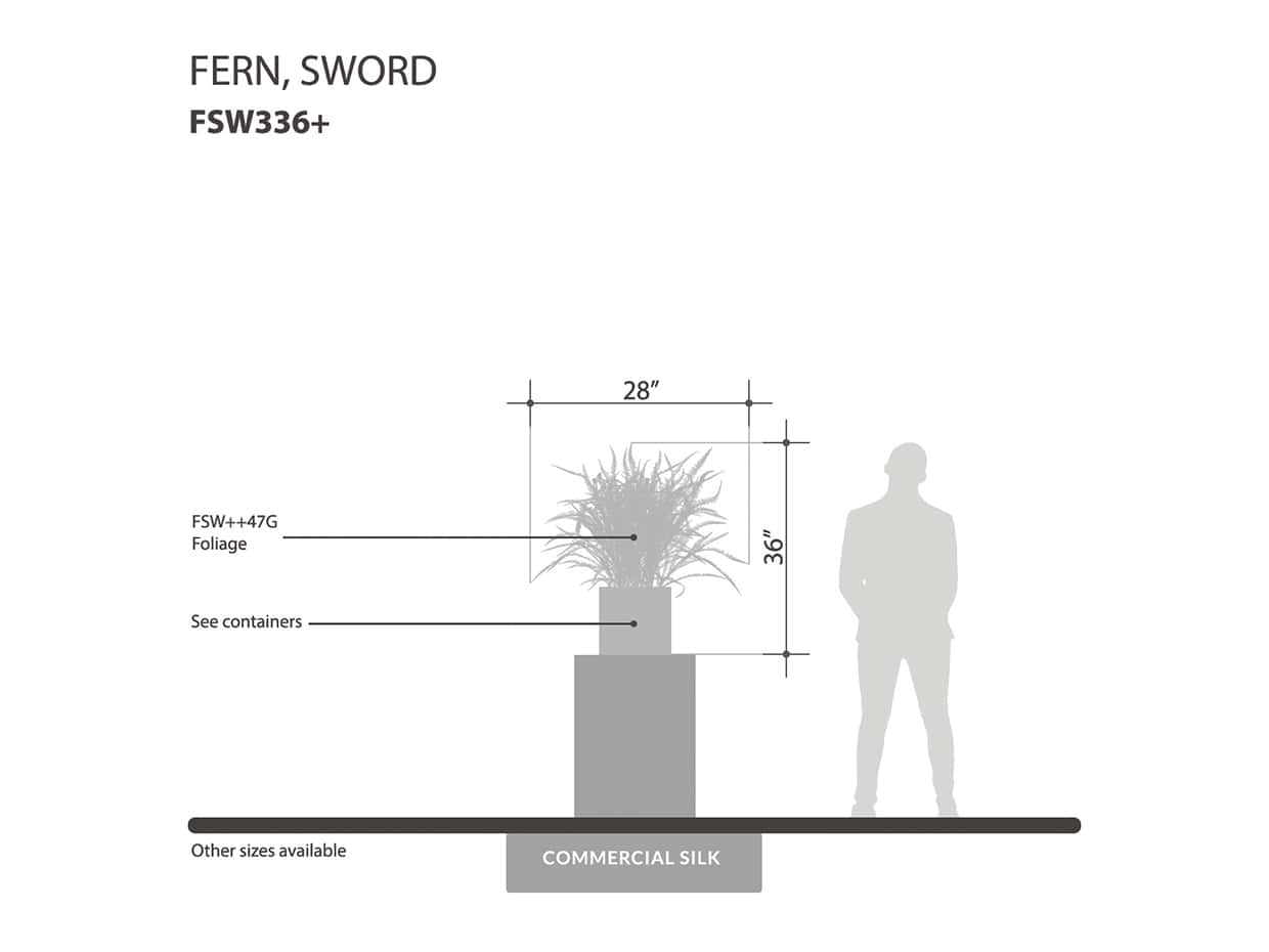 Sword Fern Bush ID# FSW336+
