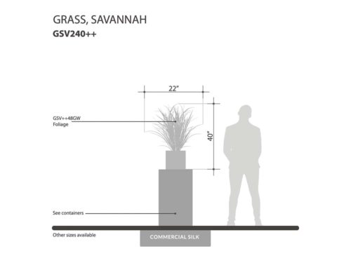 Savannah Grass ID# GSV140+