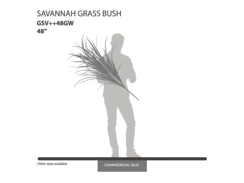 Savannah Grass Bush ID# GSV++48GW