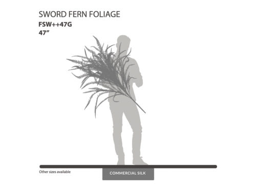 Sword Fern Foliage ID# FSW++47G
