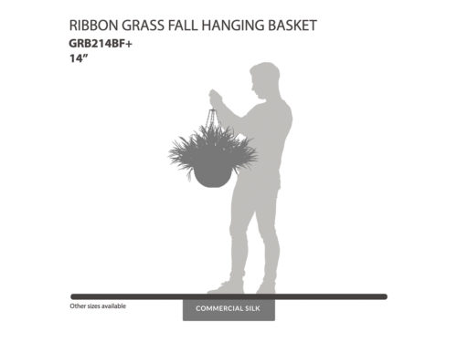 Ribbon Grass Fall Hanging Basket ID# GRB214BF+
