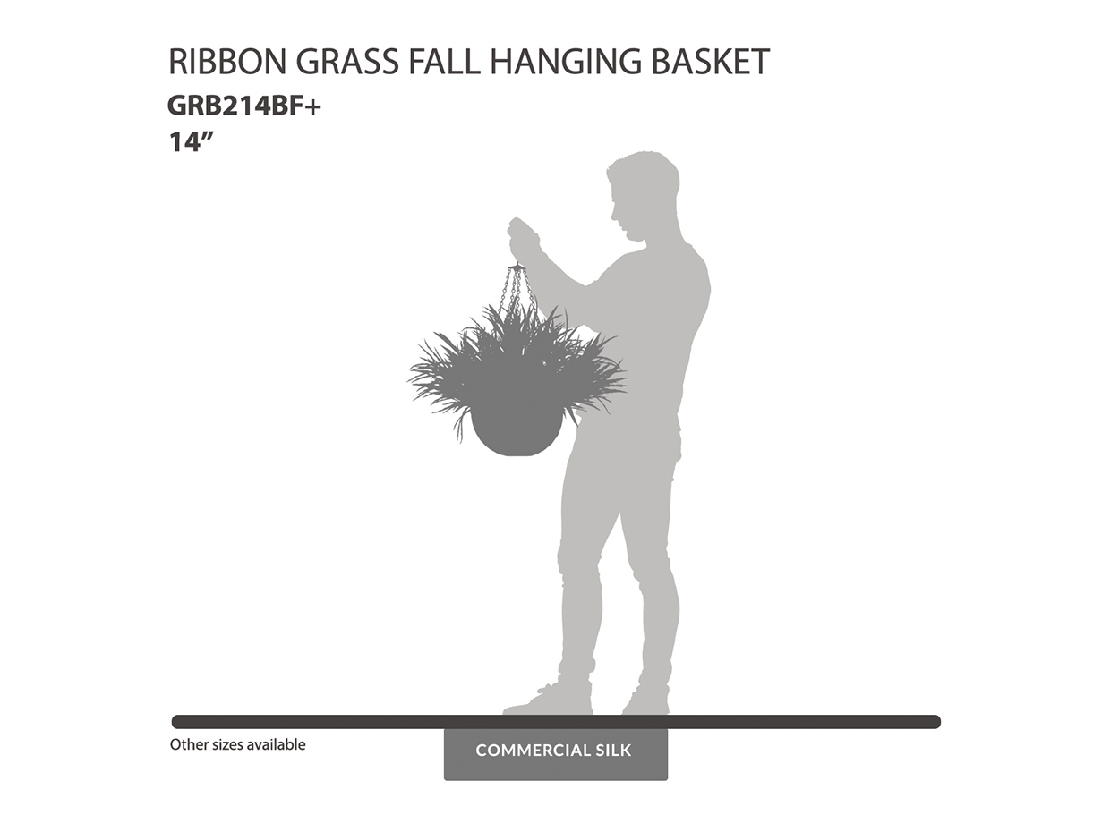 Ribbon Grass Fall Hanging Basket ID# GRB214BF+