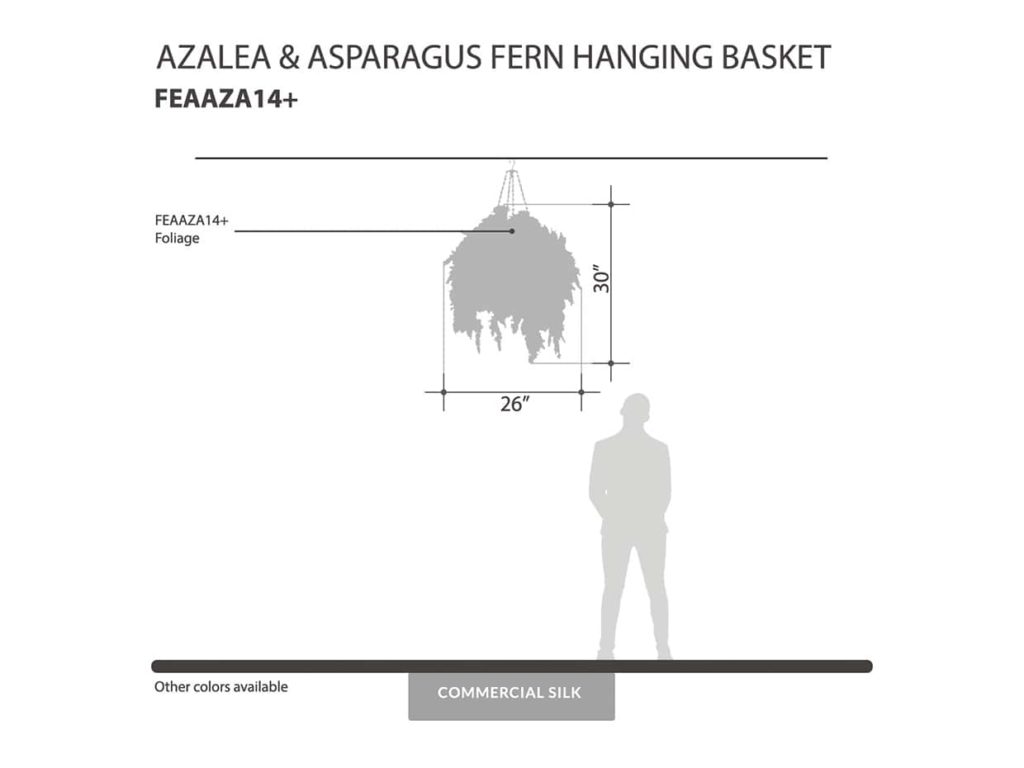 Azalea & Asparagus Fern Commercial Hanging Basket ID# FEAAZA14B+
