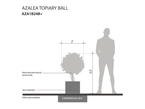 Azalea Topiary Ball ID# AZA1B24B+