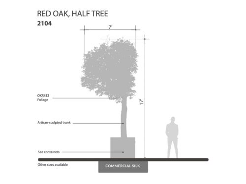 Red Oak Tree, Half Tree ID# 2104