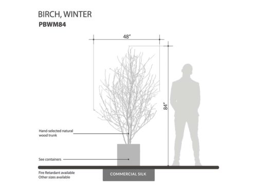 Winter Birch Tree ID# PBWM84