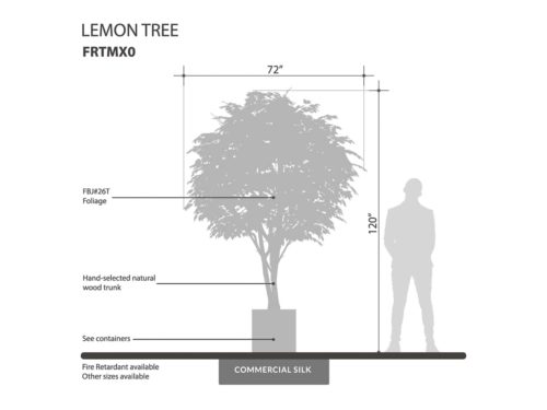 Lemon Tree ID# FRTMX0