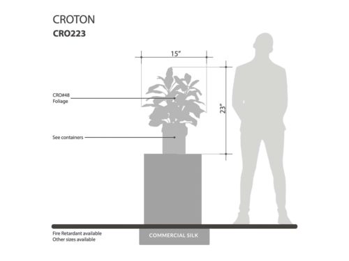 Croton Plant ID# CRO223