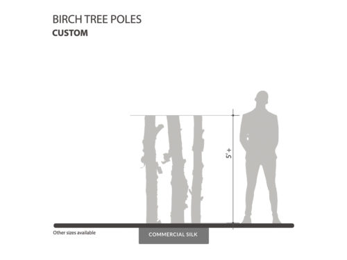 Birch Tree Poles