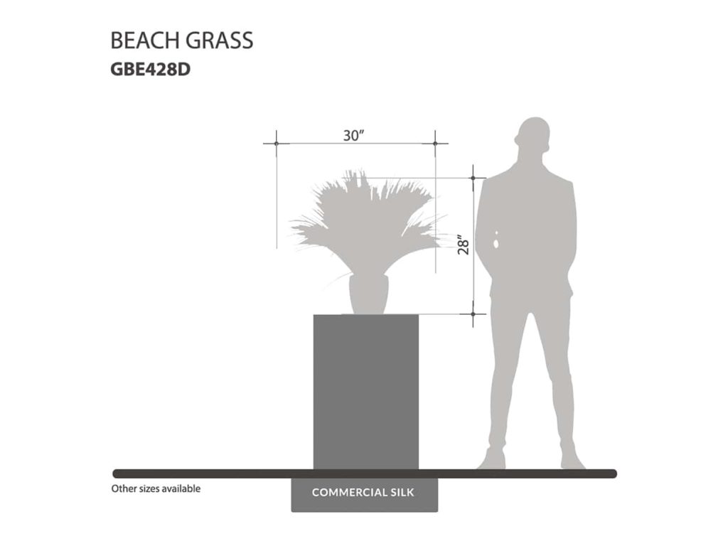 Fake Beach Grass ID# GBE428D