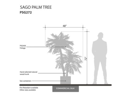 Sago Palm Tree ID# PSG272