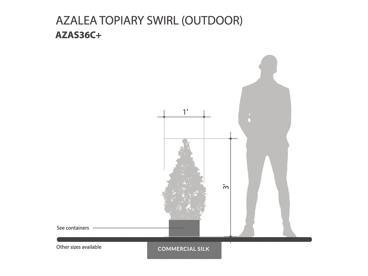 Outdoor Azalea Topiary Swirl ID# AZAS36C+