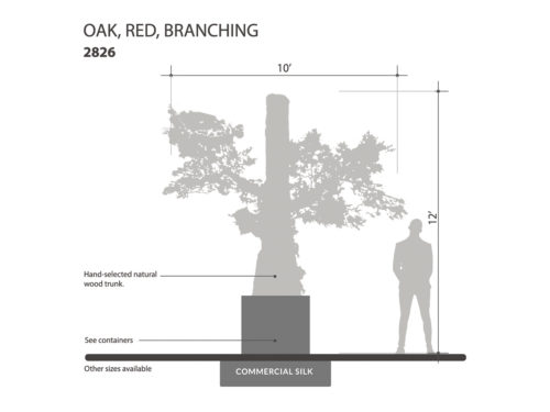 Oak Tree , Branches ID# 2826