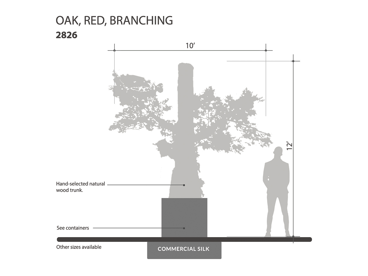 Oak Tree , Branches ID# 2826