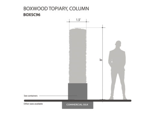 Boxwood Topiary Column ID# BOXSC96