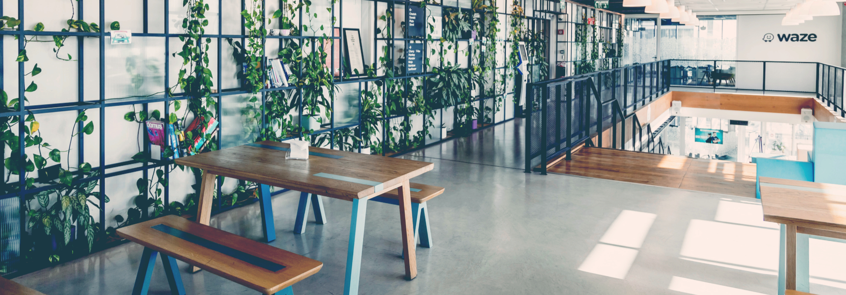 7 Hot New Office Design Trends for 2022