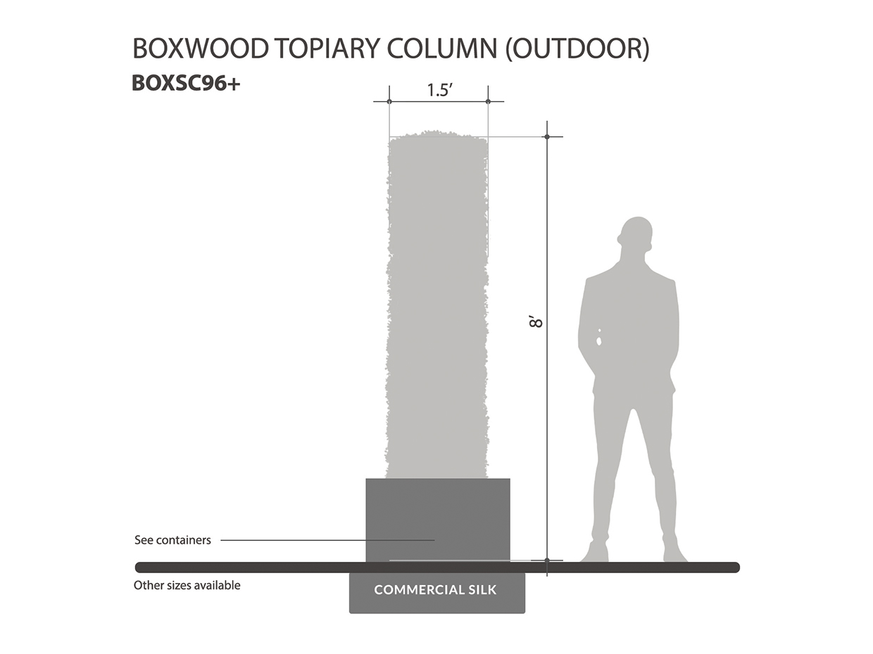 Boxwood Outdoor Topiary Column ID# BOXSC96+