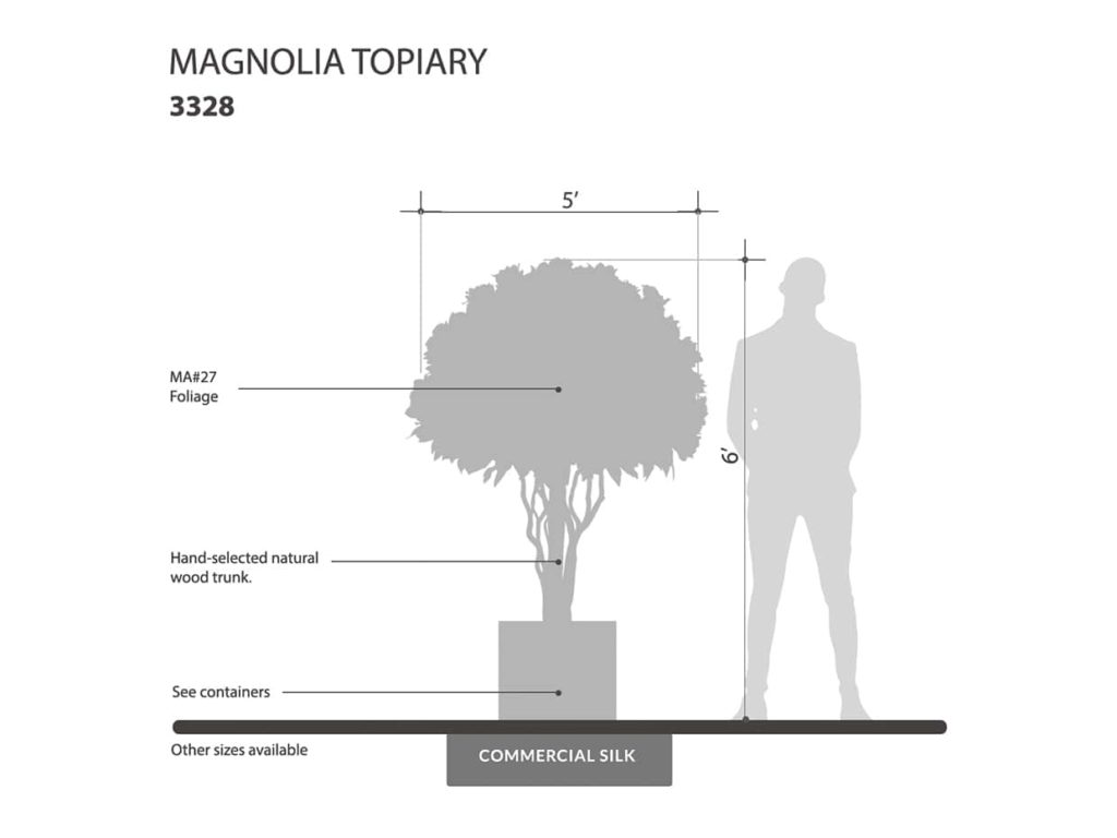 Magnolia Topiary Tree ID# 3328