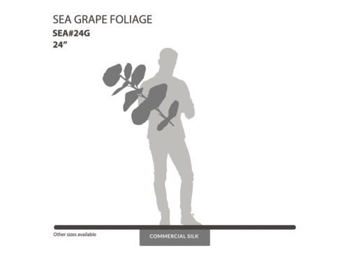 Sea Grape Spray, Green ID# SEA#24G