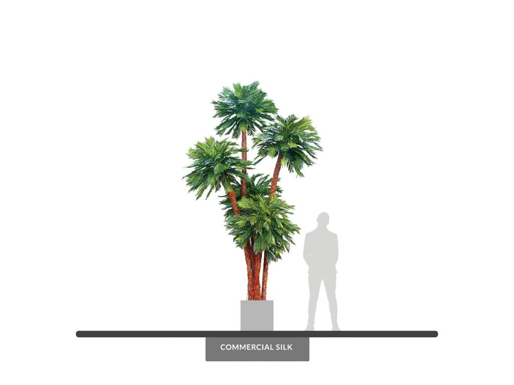 Sago Palm Tree, 12.5' ID# 13286