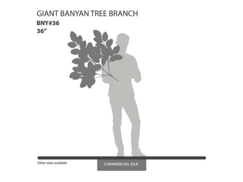 Giant Banyan Tree Foliage ID# BNY#36