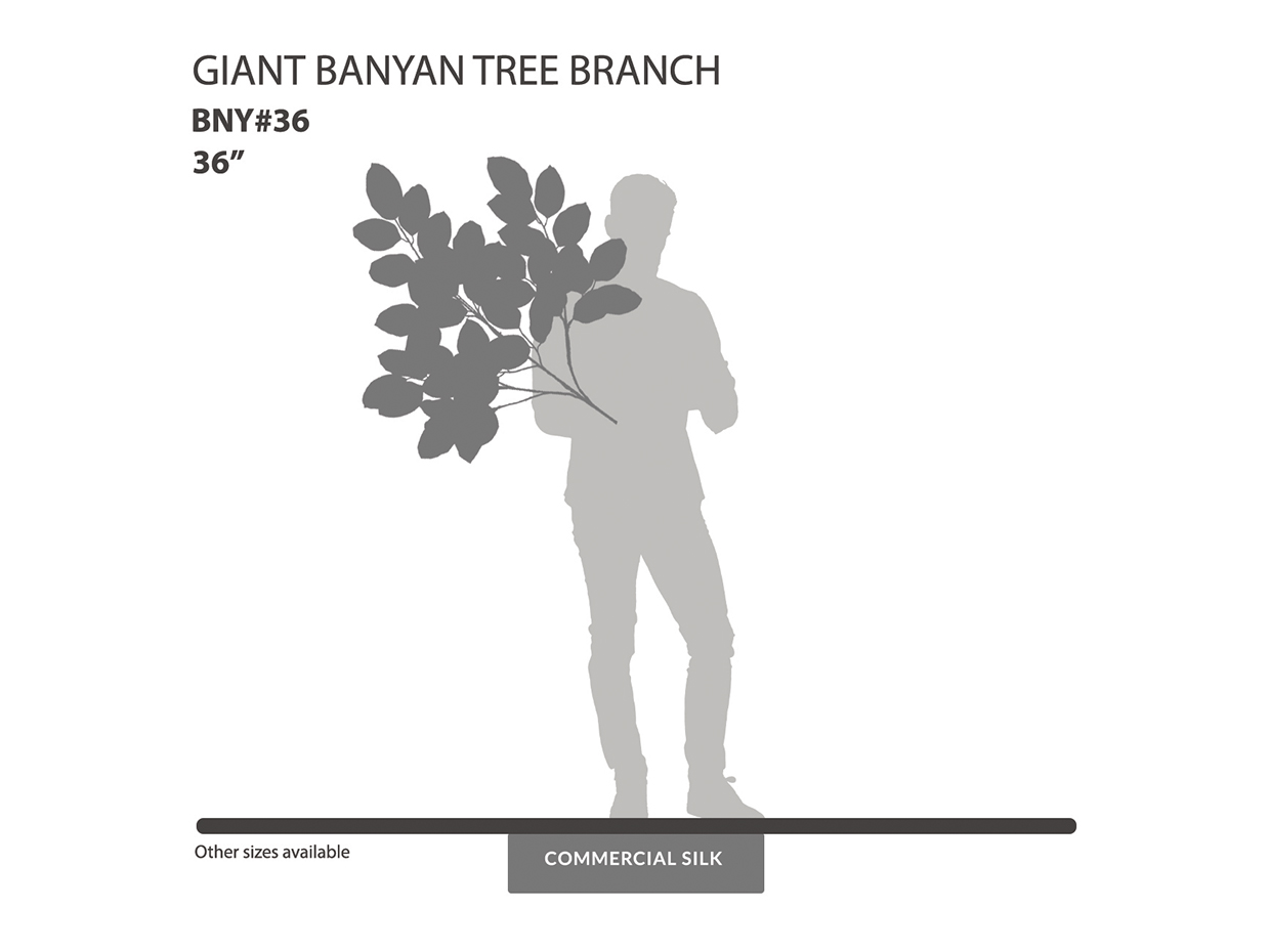 Giant Banyan Tree Foliage ID# BNY#36