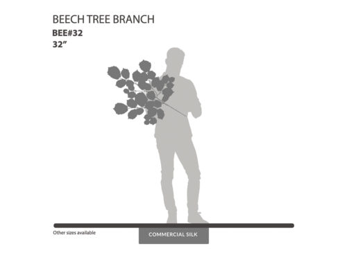 Beech Spray ID# BEE#32