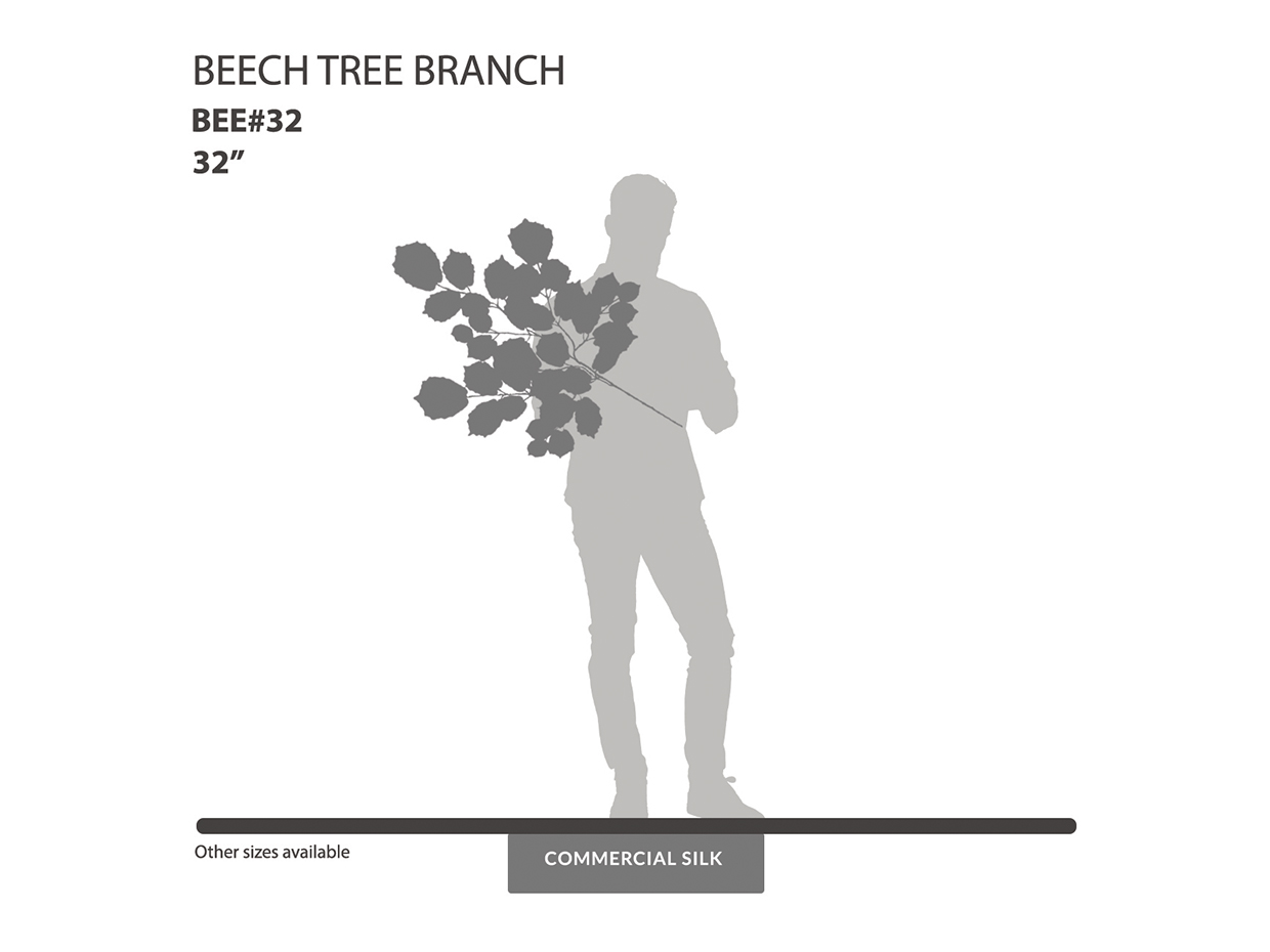 Beech Spray ID# BEE#32