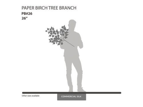 Paper Birch Spray ID# PB#26