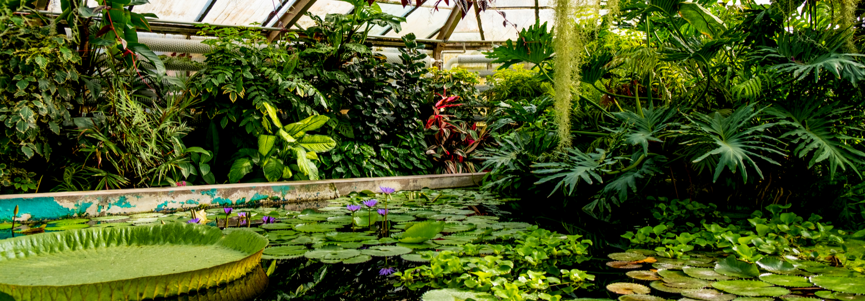 8 Faux Trees For Exotic Landscaping
