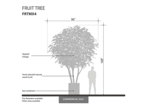 Apple Tree ID# FRTMX4